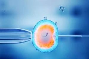 决定试管婴儿成功率的四大要素-撑握万物规律才能成功