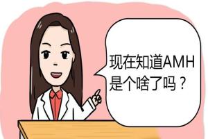 amh值0.55能做试管吗？只需要一颗高质量的卵子