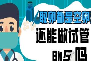取卵都是空卵泡还能做试管助孕吗？调理后有卵子就可以
