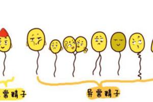 精子畸形率100%可以做试管吗？专家给出了肯定的回答