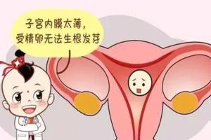试管备孕吃什么增厚子宫内膜？吃这4种食物，补的最快