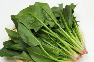 菠菜对试管婴儿有影响吗？不要听信谣言