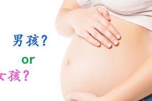 专家揭秘试管婴儿性别比例-做试管生男生女不是你能决定的