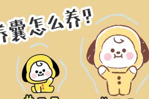 关于试管婴儿养囊胚的那些事，不是人人都适合养囊，别盲目跟风