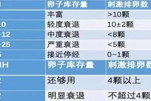 26岁amh值0.25可以做试管婴儿吗，成功率高吗[科普文]