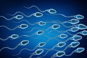 精子畸形率高试管婴儿健康吗？专家支4招教你降低精子畸形率