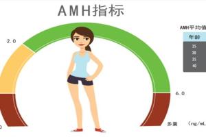 专家解读：amh值0.495自然怀孕有多大机率
