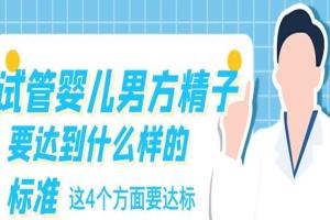 试管婴儿男方精子要达到什么样的标准-这4个方面要达标