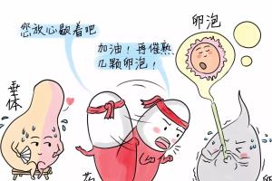AMH0.291还能取到优质卵泡吗-只要还在排卵就有机会