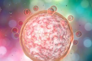 试管婴儿取卵数量受哪些因素左右，这5个因素要知道