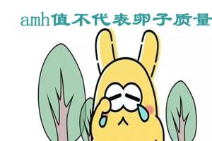 amh0.75做试管可以吗？生殖科专家教你如何试管助孕