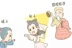 试管取卵后盆腔积液有3个症状，需要引起重视