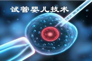 曾经的试管婴儿现在怎么样了？一起来开开眼吧！