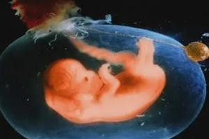 第一次试管婴儿治疗失败后该怎么办才好？这三步曲助要做到位