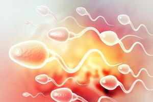 精子有细菌能做试管婴儿吗？专家分析精子有细菌是什么原因