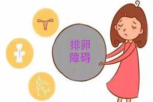 排卵障碍做试管婴儿要注意什么？4点注意事项请收下