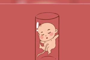 第一代试管婴儿百科资讯--白金版