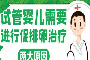 试管婴儿需要进行促排卵治疗的两大原因