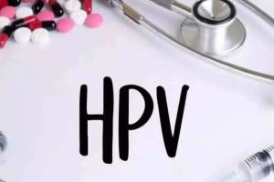 感染了HPV病毒可以做试管婴儿吗-且看严重程度