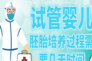 试管婴儿胚胎培养过程需要几天时间？要视情况而定