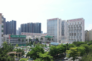 专家解读清远市人民医院能否做试管婴儿