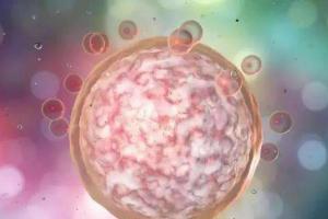 有六个基础卵泡做试管能成功吗？听听生殖专家怎么说
