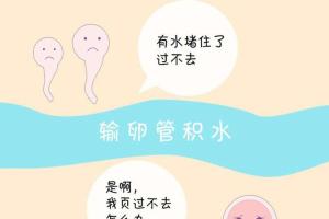 女性输卵管积水可以做试管婴儿吗-建议先治疗