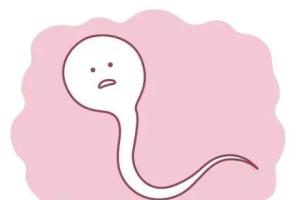 男性精子活力低只能做试管么？看完你就恍然大悟了！