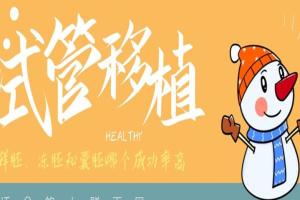 试管移植鲜胚、冻胚和囊胚哪个成功率高-适合的人群不同