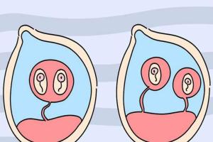 试管婴儿可以选择生一对儿子吗-答案是不允许人为选择的