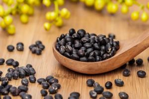 试管婴儿促排期吃黑豆的功效有哪些？适量吃，有好处！