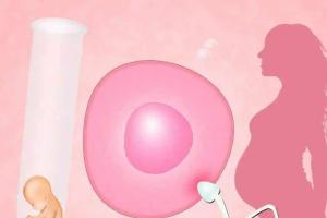 盘点自然受孕和试管婴儿五个区别