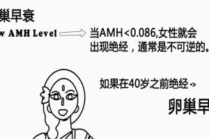 AMH0.65试管婴儿成功率有多少-且看卵子质量