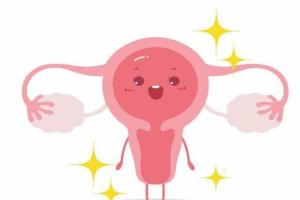 子宫内膜多厚适合移植试管婴儿？这个数值内膜厚度才达标！