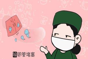双侧输卵管堵塞做试管婴儿的成功率高吗-并没有直接性的关系