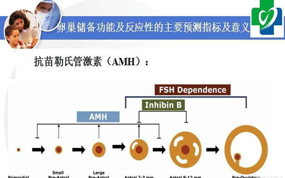 AMH值多少为卵巢早衰还可以做试管吗-能获取优质卵子最重要