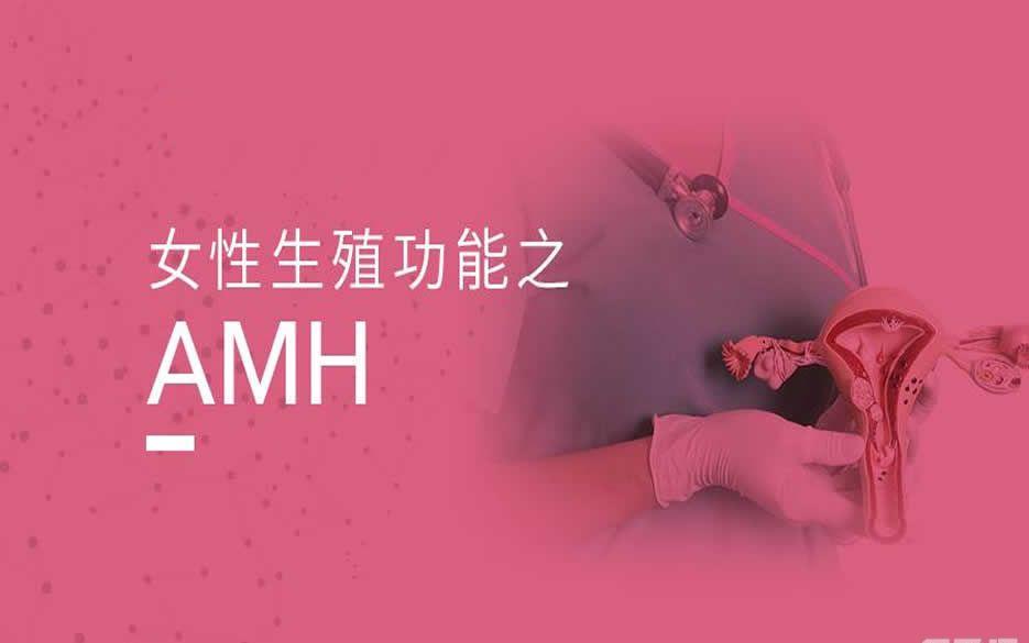 解读女性AMH各年龄段正常范围值-请查收你的好孕值