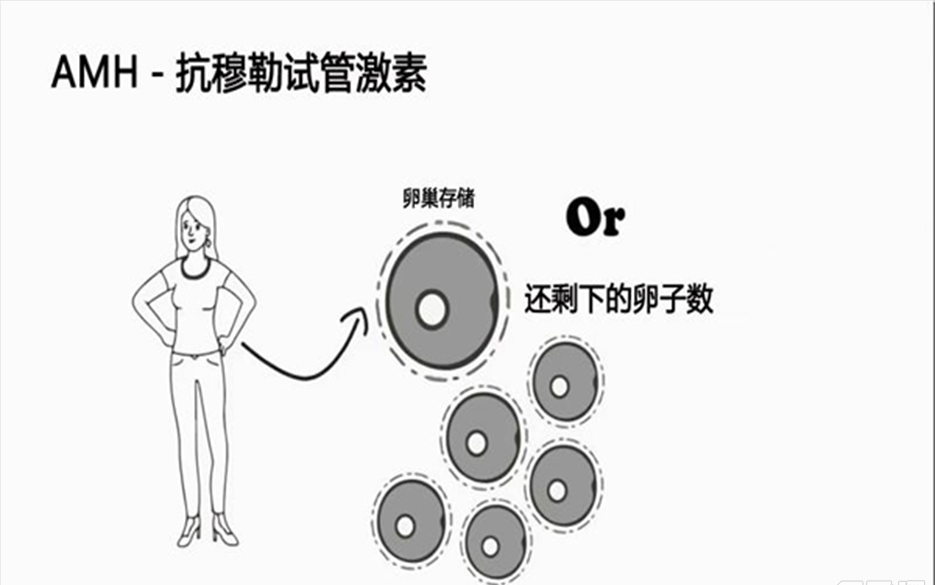 amh值太低了还能做试管婴儿吗？可以！但要注意时间不等人！