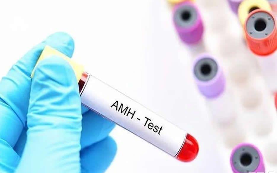 amh与卵子数量的关系，数值越高卵子数量越多？