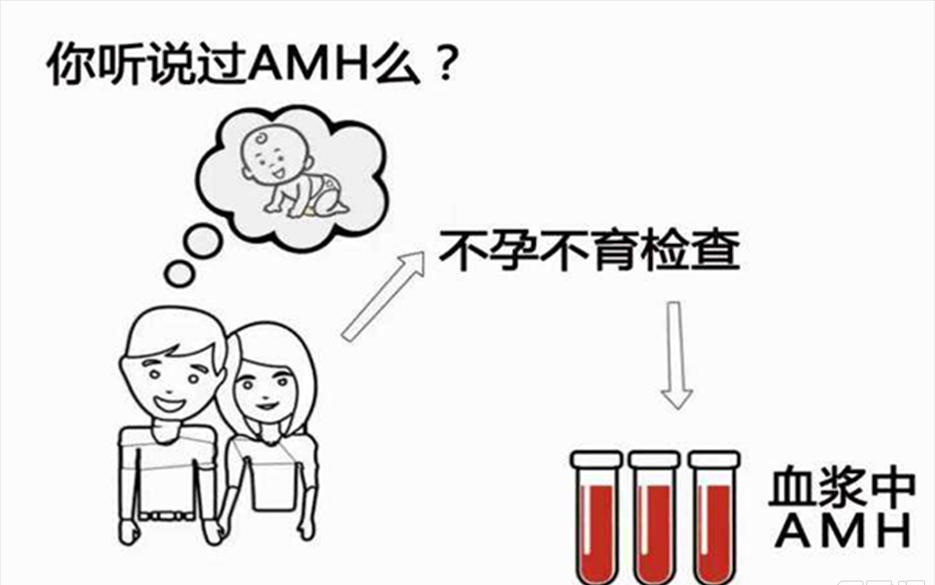 [答疑篇]卵巢amh低怎么办？能恢复吗？怎么调理？
