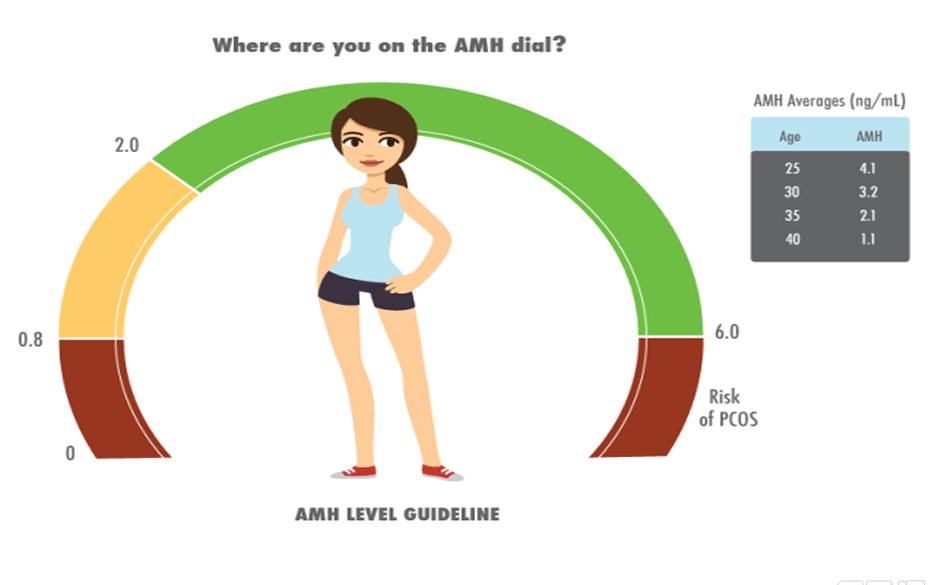 AMH低于多少不能做试管婴儿-不放弃就有成功的可能