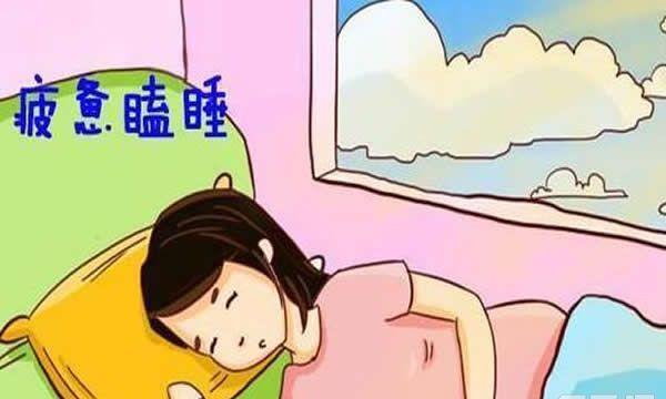 女性孕早期症状有哪些-这10个现象建议对照看看