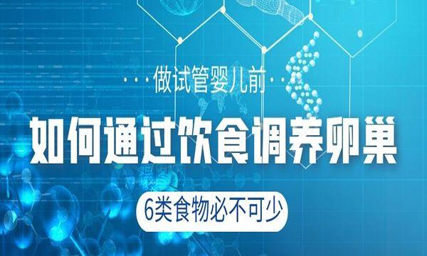做试管婴儿前如何通过饮食调养卵巢-6类食物必不可少