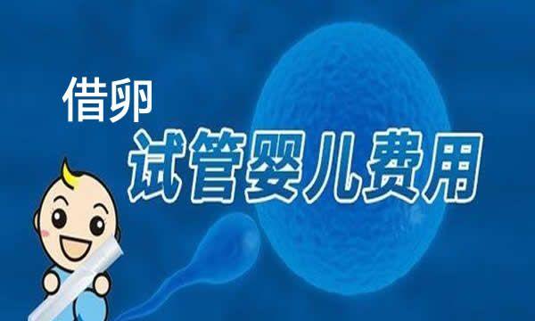 50岁怀孕做试管婴儿的费用明细介绍-附带6个步骤