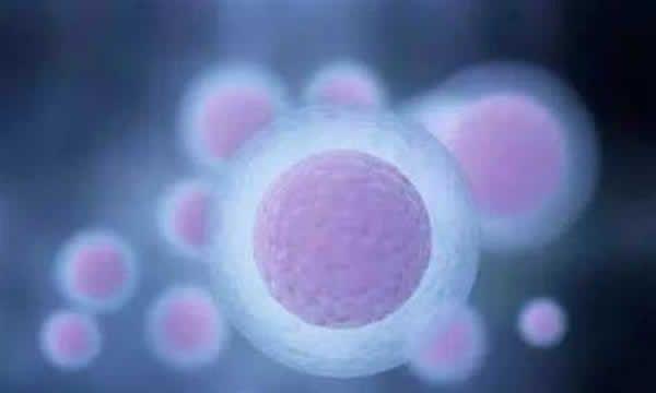 做试管基础卵泡少怎么办？教你四个小方法轻松解决难题