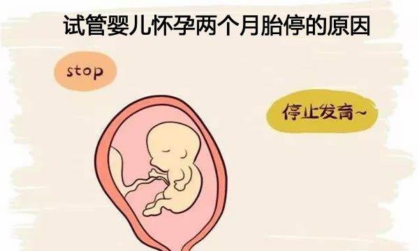 试管婴儿怀孕两个月胎停的7个原因介绍-带你顺畅度过孕早期