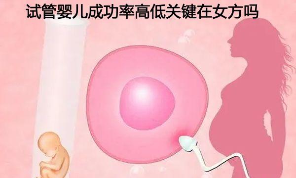 试管婴儿成功率高低关键在女方吗-听听试管专家怎么说