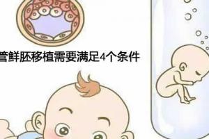 试管鲜胚移植需要满足4个条件-并不是人人都合适