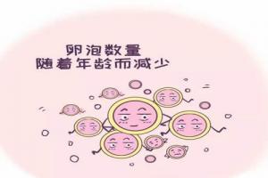 [专题科普]高龄女性做试管婴儿卵泡少该怎么办