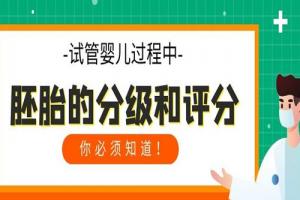 试管婴儿过程中胚胎的分级和评分你必须知道！